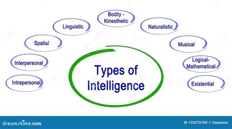 Types of Intelligence stock illustration. Illustration of interpersonal ...