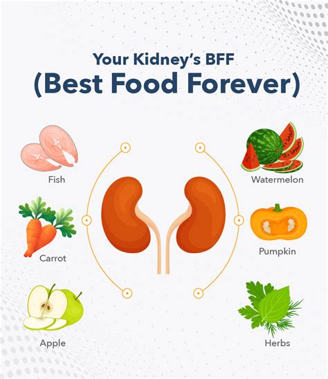 Foods to Avoid with Kidney Stones | Pathkind Labs Blog