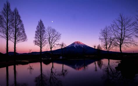 Download Mount Fuji Purple Sunrise Wallpaper | Wallpapers.com