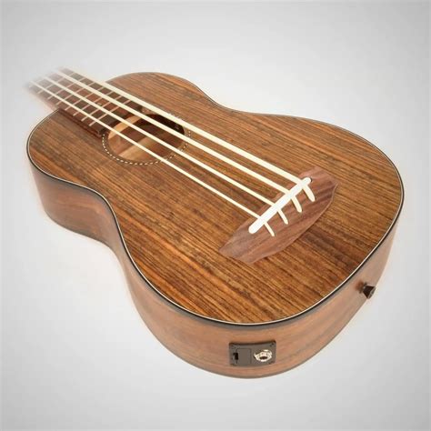 Best Bass Ukulele Reviews & Buyer's Guide (2020 Edition)