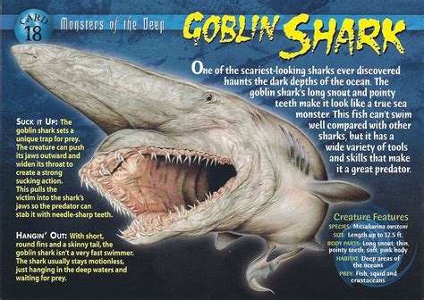 Goblin Shark - Wierd N'wild Creatures Wiki