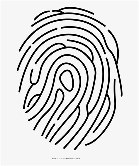 Fingerprint Coloring Page Ultra Pages - Free Transparent PNG Download - PNGkey