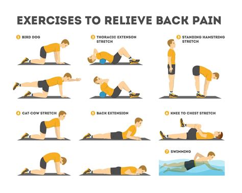 What Causes Lower Back Pain? - Delight Medical and Wellness Center