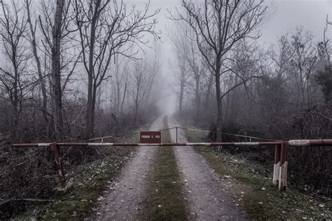 #474781 outdoors, nature, road, trees, forest, mist, faded, abandoned - Rare Gallery HD Wallpapers