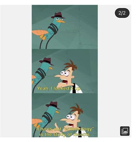 Doofenshmirtz and Perry the platypus : r/cartoons