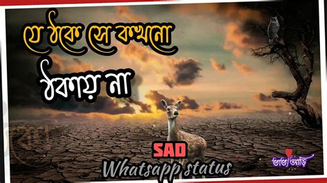 Bangla sad lyrical status|♥ touching lyrics - YouTube