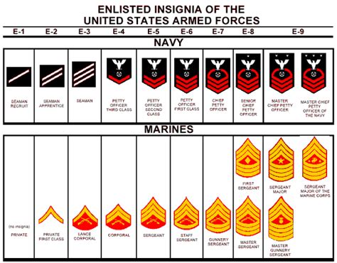 navy ranks | Navy enlisted ranks, Navy ranks, Navy rank insignia