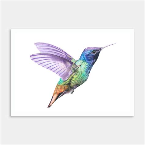 KingfisherNo.2 Art Print By Janine Badger - Art Collective