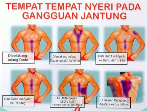 Mengenal Gejala Penyakit Jantung Koroner | KabarDunia.com