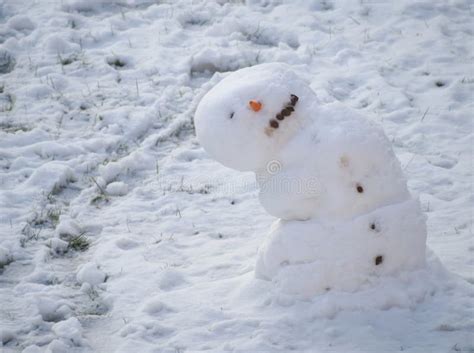 607 Melting Snowman Stock Photos - Free & Royalty-Free Stock Photos ...