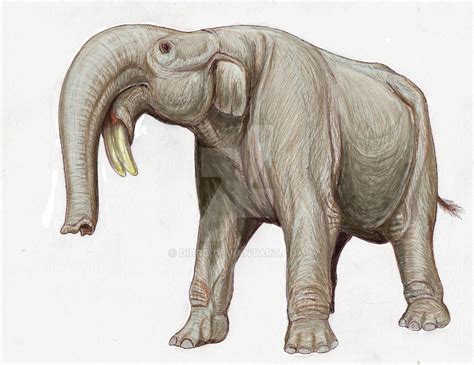 Deinotherium from Rostov by DiBgd on DeviantArt