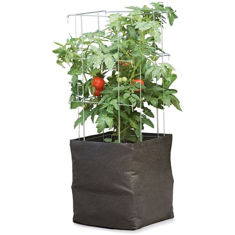 Grow Bags - Tomatoes, Peppers, Herbs and Potatoes | The Green Head