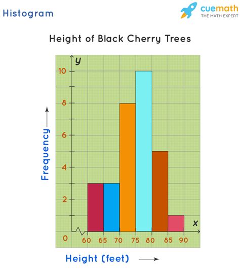 Histogram - Graph, Definition, Properties, Examples