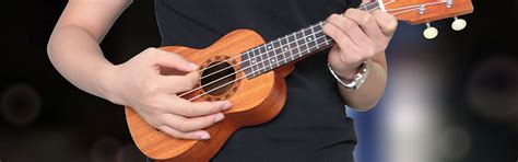 10 Best Concert Ukuleles Reviewed in Detail [Jun. 2024]