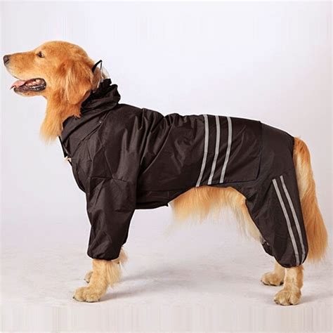 Wholesale Dog Clothes For Large Dogs | Paul Smith