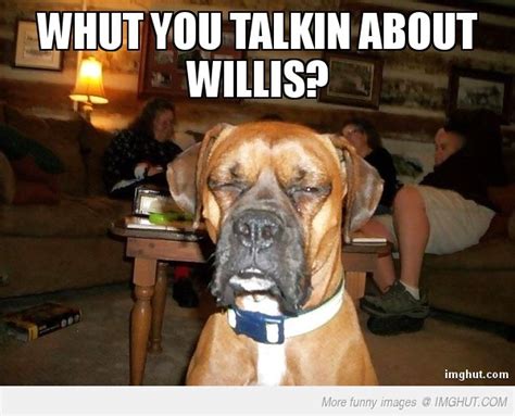 Boxer Dog Meme | FunnyPictures.in