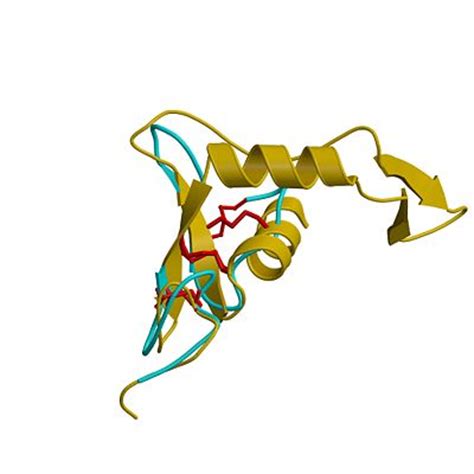 Hyaluronidase - Proteopedia, life in 3D