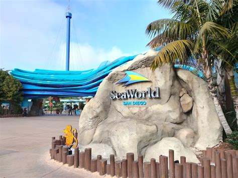 The Ultimate Guide To SeaWorld San Diego Rides - ParkFrog