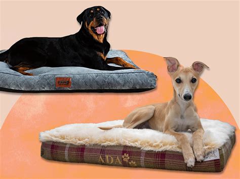 Best dog bed 2023: From large to washable and luxury beds | The Independent