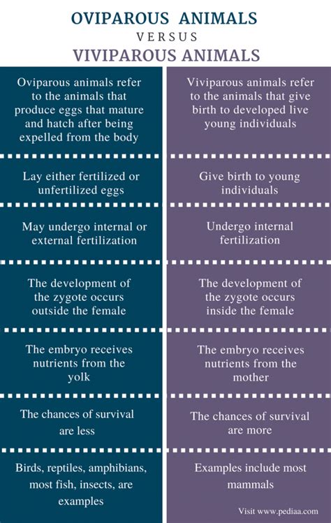 Difference Between Oviparous and Viviparous Animals | Definition, Features, Examples