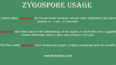 zygospore: How to pronounce zygospore with Phonetic and Examples - YouTube