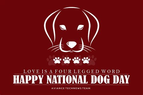 National Dog Day 2020: History, Celebration & Importance of Dogs in Our Lives - Aviance Technologies