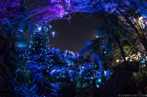 PHOTOS + VIDEO: Pandora - The World of Avatar Comes Alive at Night