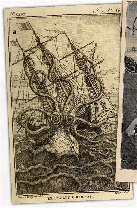 (a) Norse mythology describes the Kraken in the thirteenth and ...