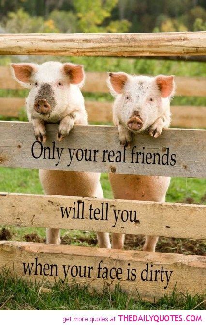 Funny Pig Quotes Sayings - ShortQuotes.cc