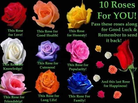 Flowers | Rose, Rose floral arrangements, Rose meaning