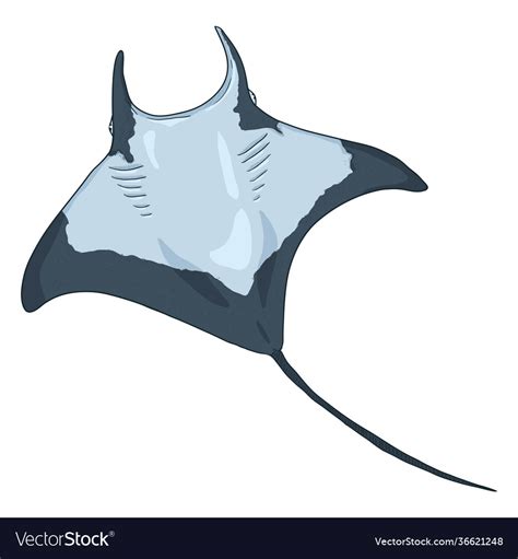 Cartoon manta ray numb-fish Royalty Free Vector Image