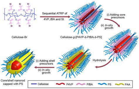 Uniform “Hairy” Nanorods Have Potential Energy, Biomedical Applications | Research