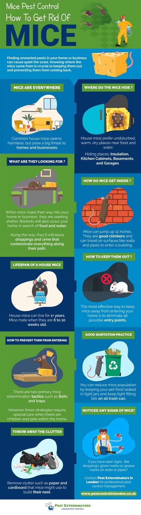 Mouse Pest Control – How To Get Rid of Mice | Latest Infographics