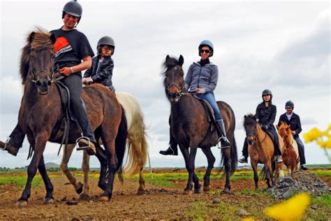 Horse Riding Tours in Iceland