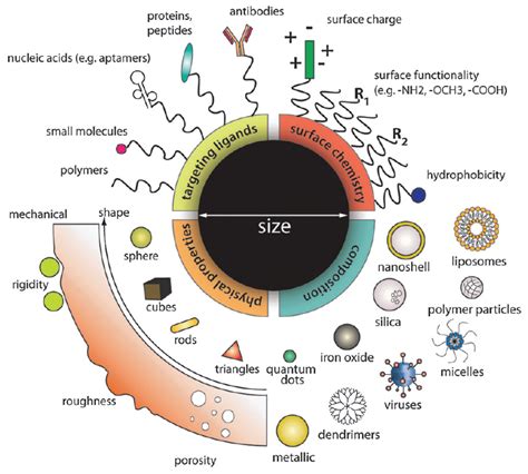 Polymers | Free Full-Text | Decorating Nanoparticle Surface for Targeted Drug Delivery ...