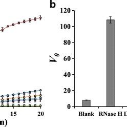 Sensitivity of the RNase H activity assay (n = 3). a Time-dependent... | Download Scientific Diagram