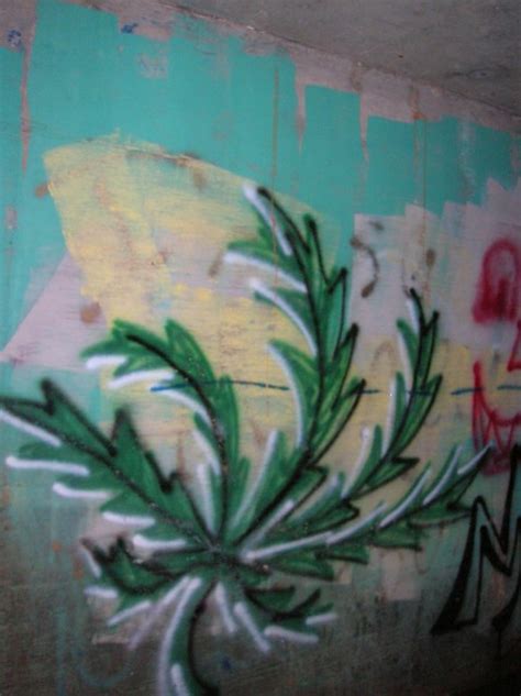 Original... pot leaf graffiti. | Flickr - Photo Sharing!