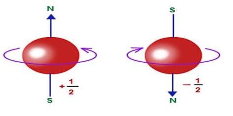 Electron Spin - QS Study