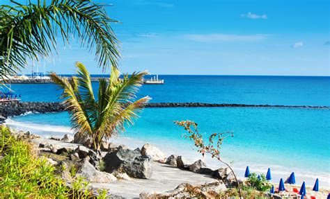 Playa Dorada Beach Day | Puerto Plata, Dominican Republic (Taino Bay) | Caribbean Cruise Tours