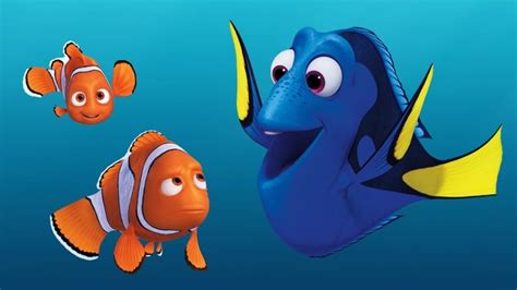 Finding Dory didn't endanger blue tang fish, say researchers studying the 'Nemo effect' | CBC Radio