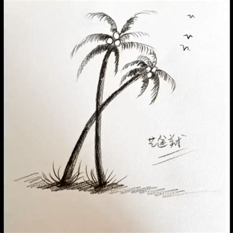 Pensil Lukisan Pokok Kelapa / Fine Art Wilderann - Caitlin Case