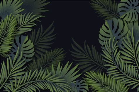 Schlacht Mappe Vergleich palm leaf hd wallpaper Feld Wurm Drohung