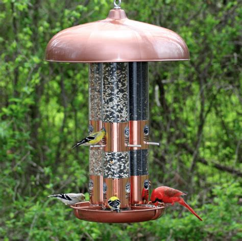 The Best Cardinal Bird Feeders and Birdseed - Birds and Blooms