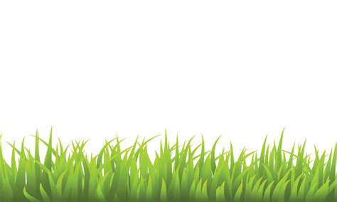 Vector grass border vector illustration 27198095 Vector Art at Vecteezy