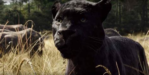 Ben Kingsley is the Voice of Panther, Bagheera, in “The Jungle Book” | ReZirb