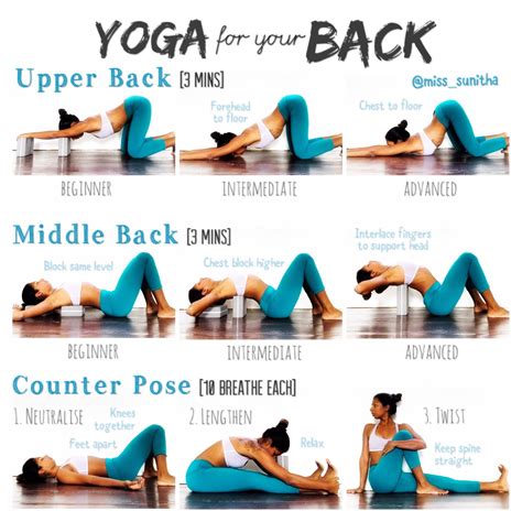 Share more than 80 yoga poses for spine flexibility super hot - stylex.vn