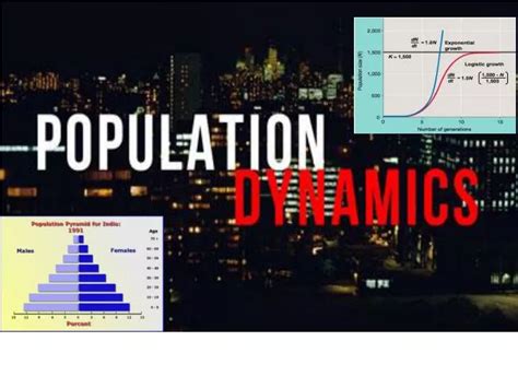 PPT - Population Dynamics PowerPoint Presentation, free download - ID ...