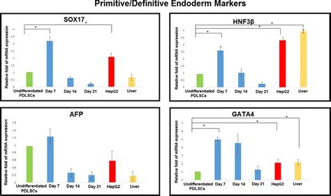 Quantitative expression of primitive/definitive endoderm markers during ...