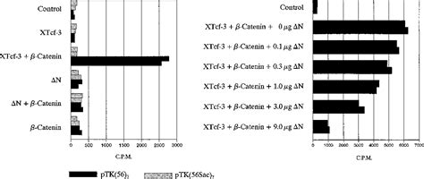 Structure of blastomere | Semantic Scholar