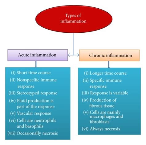 Chronic Inflammation Concept Map